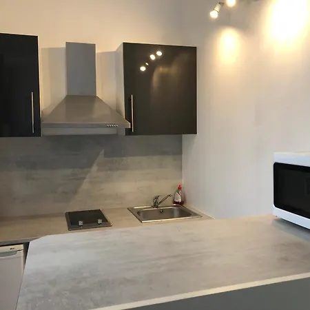 Des Congres Et Festivals